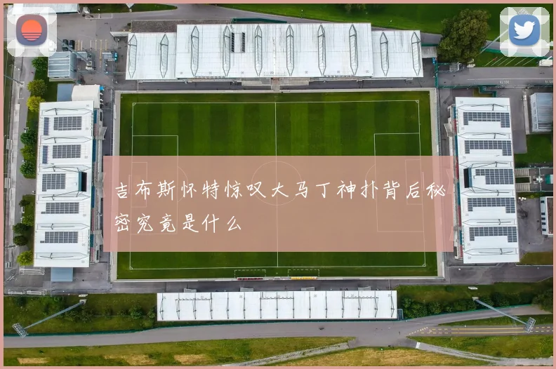 吉布斯怀特惊叹大马丁神扑背后秘密究竟是什么